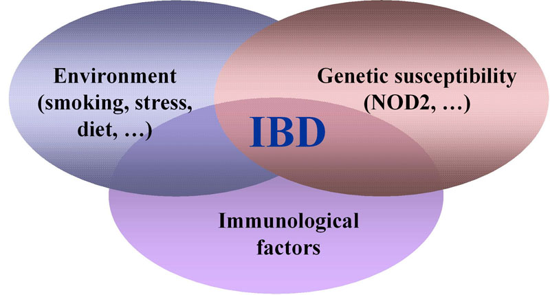 [IBD_pathogenesis_model.jpg]