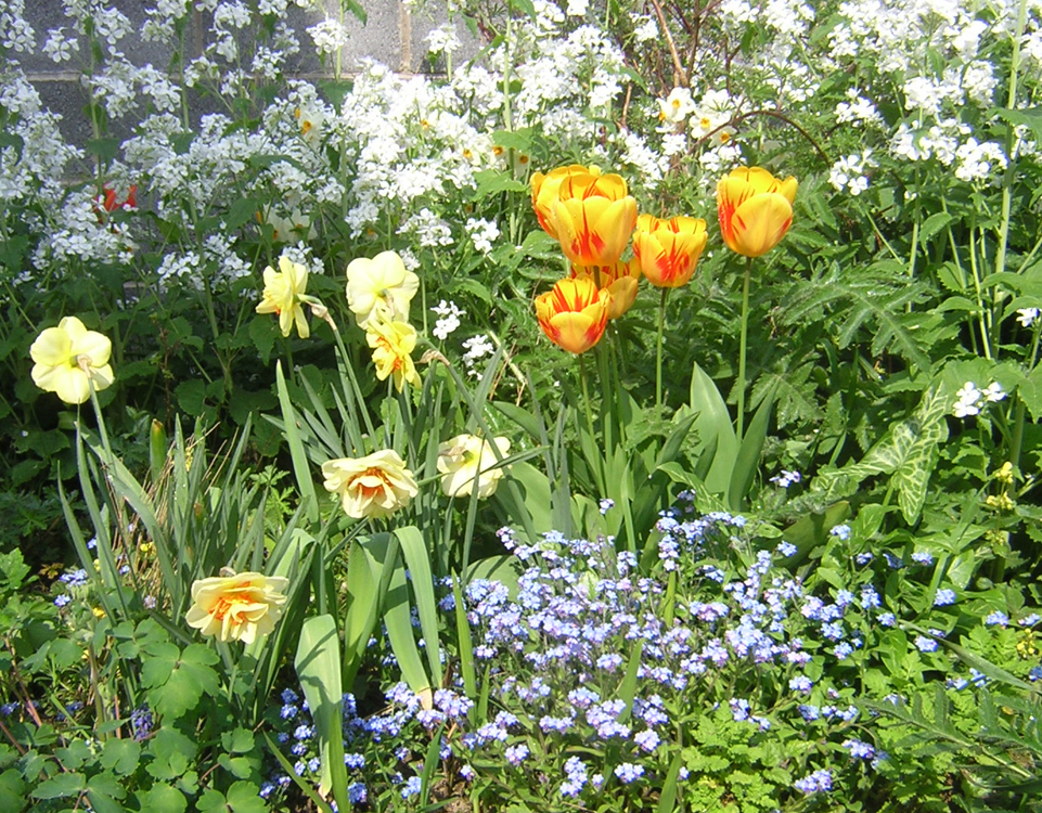 [spring+garden.jpg]