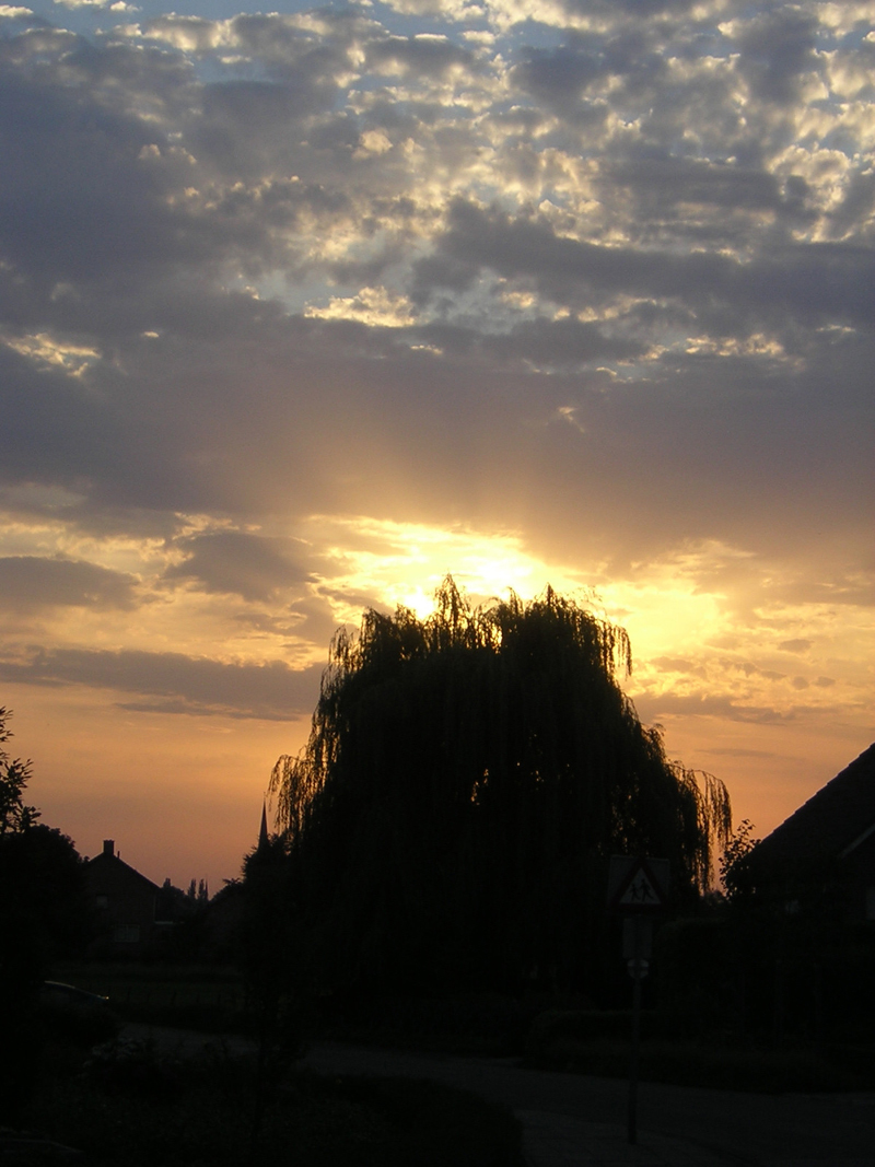 [9+willow+sunset.jpg]