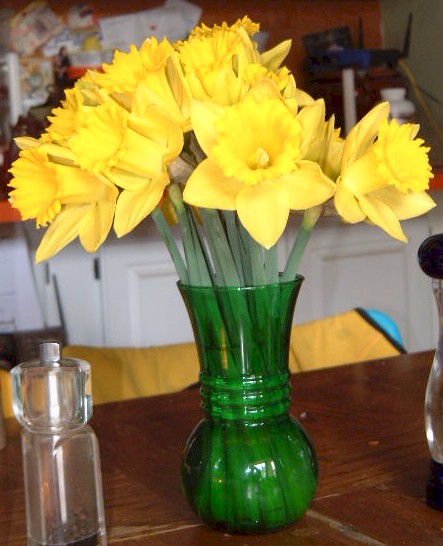 [Daffodils+003.jpg]