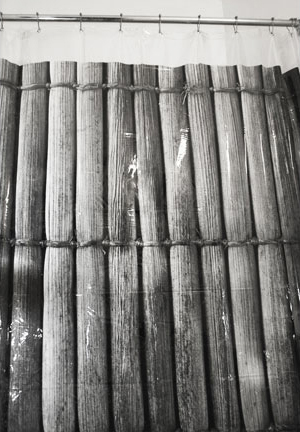 [bamboo-3.jpg]
