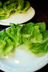 [lettuce14.jpg]