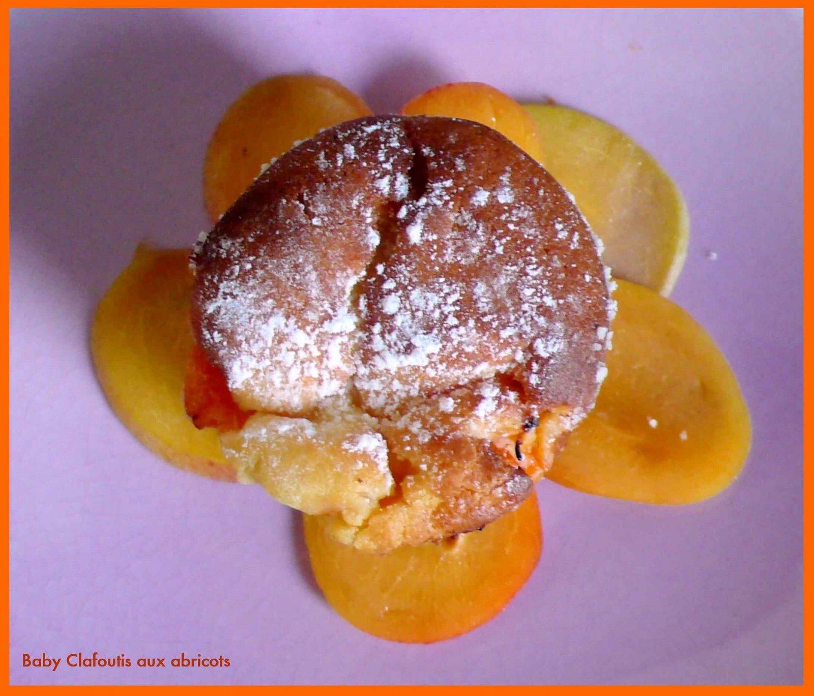 [baby+clafoutis+aux+abricots.jpg]