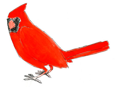 [red-bird-blog.jpg]