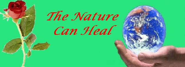 The Nature Can Heal