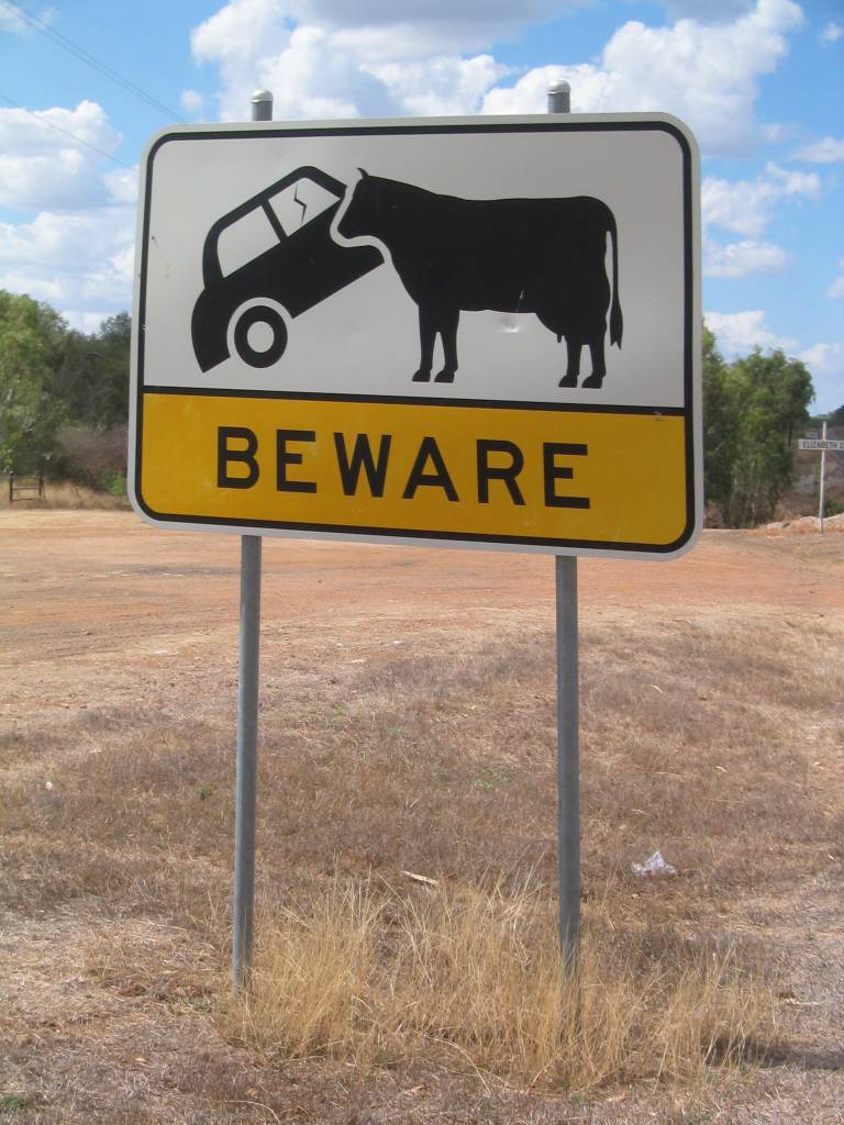 [Car_Eating_Cows_Sign.jpg]