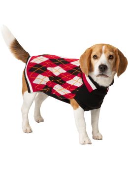[dog+sweater.jpg]