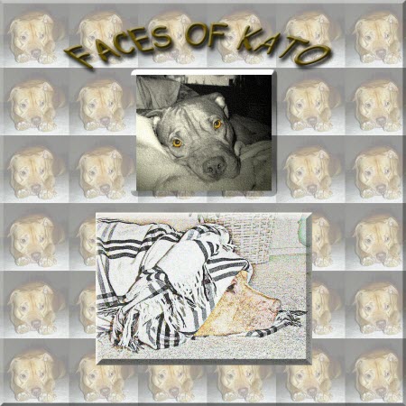 [Faces+of+Kato.jpg]
