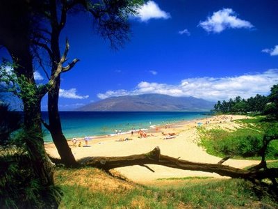 [1213561778_kihei-beach-maui-hawaii.jpg]