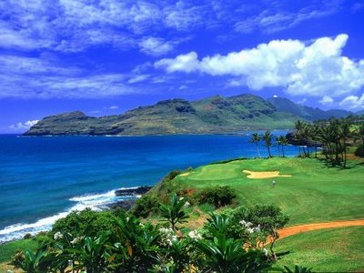 [1213562111_golf-hawaii.jpg]
