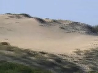 [les+dunes+de+Seignosse.jpg]