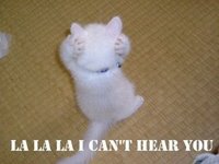 [lala_cant_hear_you_cat.jpg]