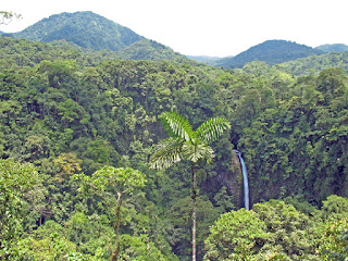 Erica Ridley in Costa Rica: La Fortuna rain forest canopy and waterfall