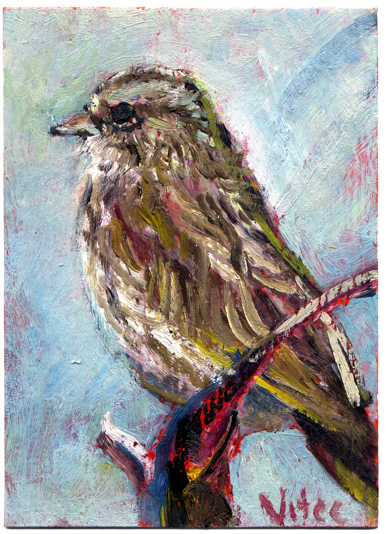 [bird+65+sparrow105.jpg]
