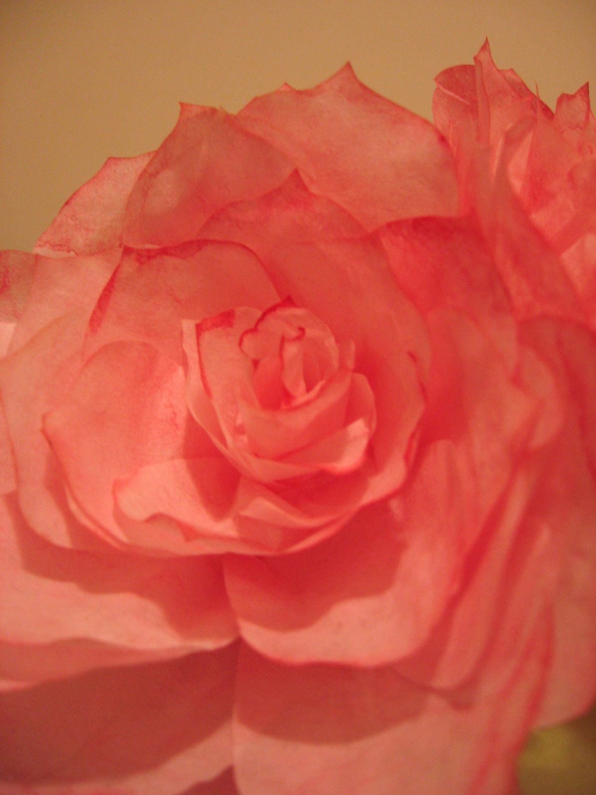 [paper+rose+final.JPG]