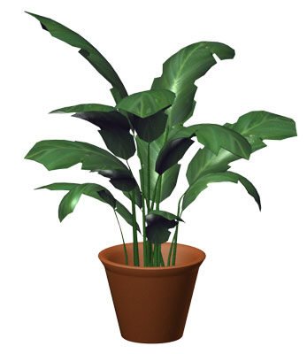 [potted+plant.bmp]