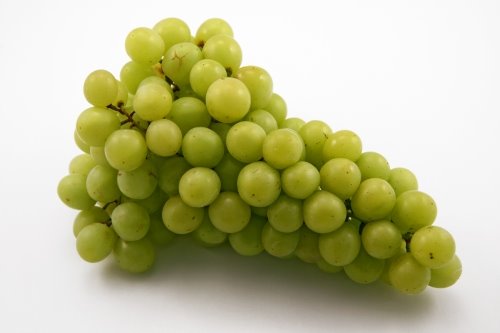 [sour+grapes.jpg]