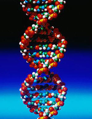 [DNA.jpg]