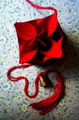 [origamibloom.JPG]