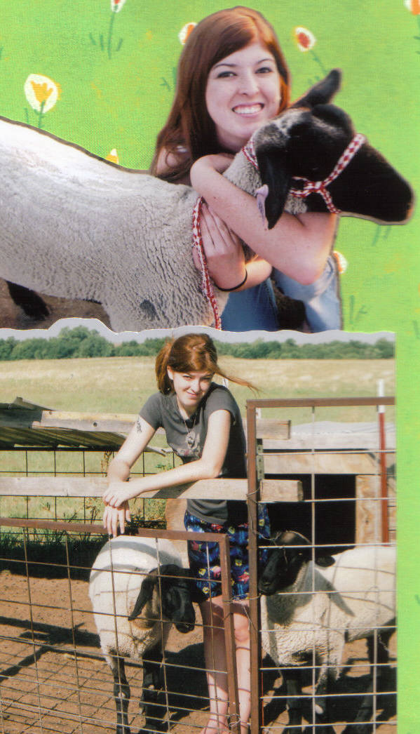 [Meg&sheep.jpg]