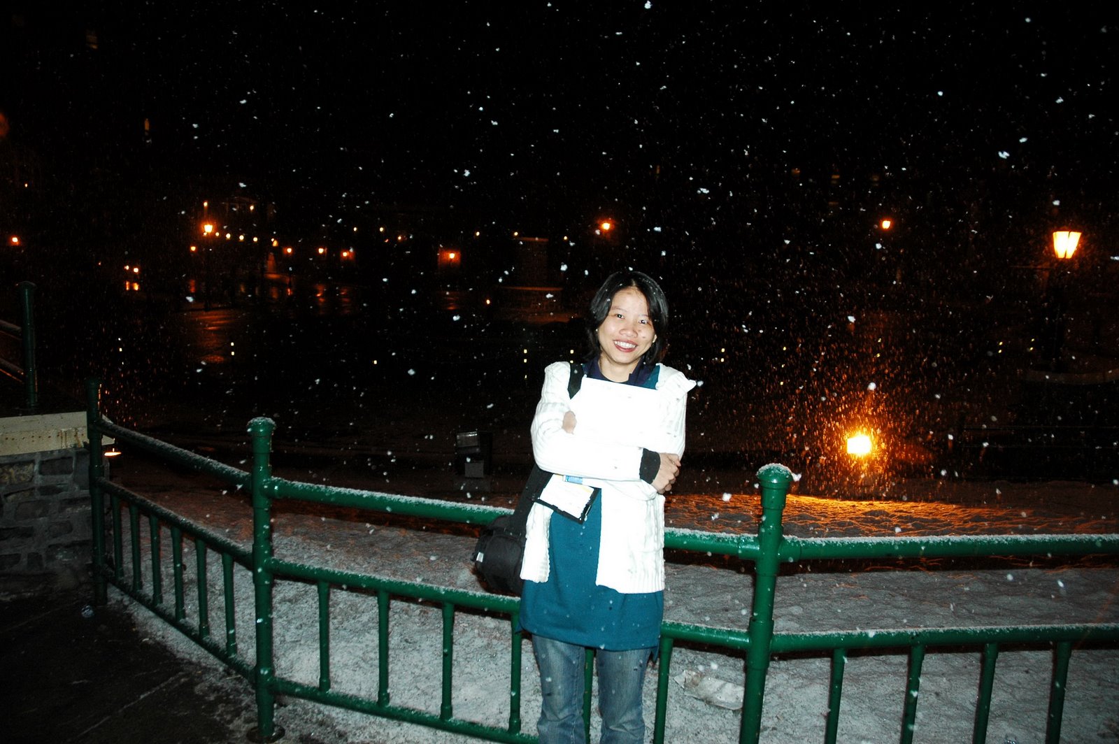 [snowfall1.JPG]