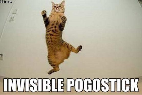 [invisible+pogo+stick.jpg]