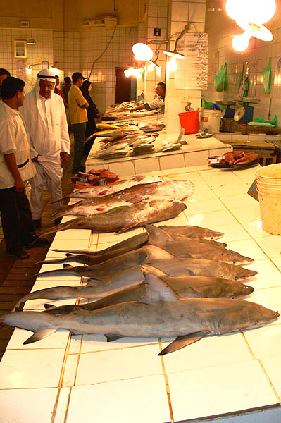 [Fish-Market-4.jpg]