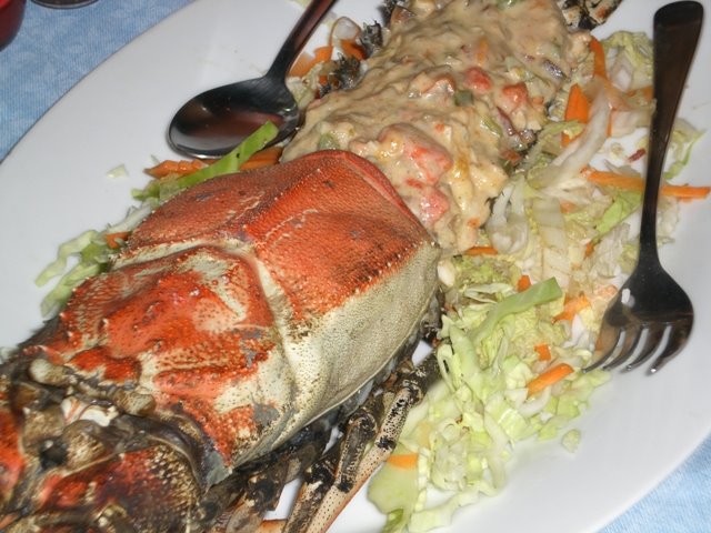 [jovicam-lobster-01.JPG]