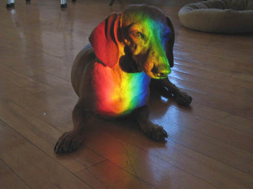 [RainbowMildred.jpg]