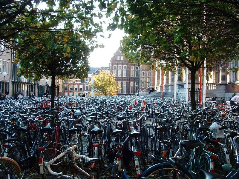 [bikes+parked+(Medium).JPG]