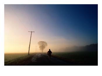 [100284~Corredor-solitario-en-una-carretera-rural-cubierta-por-la-niebla-matinal-Posteres.jpg]