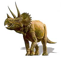 [triceratops.jpg]