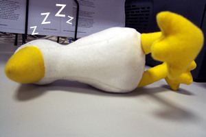 [sleeping+duck.jpg]