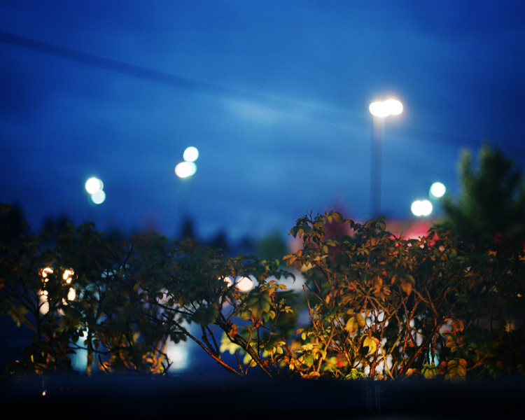 [Bush&Lights.jpg]