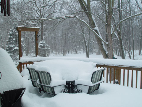 [Backyard+Winter+2007.JPG]