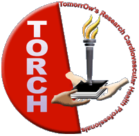 [TORCH_logo.gif]