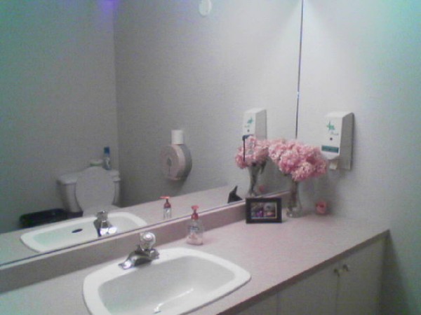 [ladieswashroom.jpg]