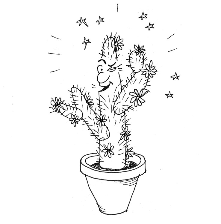 [6+-+cactusul.jpg]