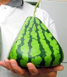 [pyramid_watermelon.jpg]