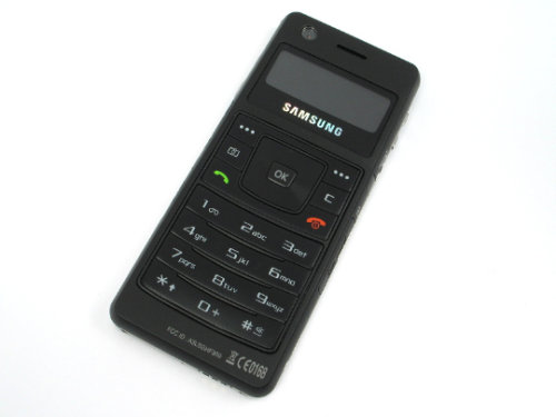 [Samsung-F300-002.jpg]
