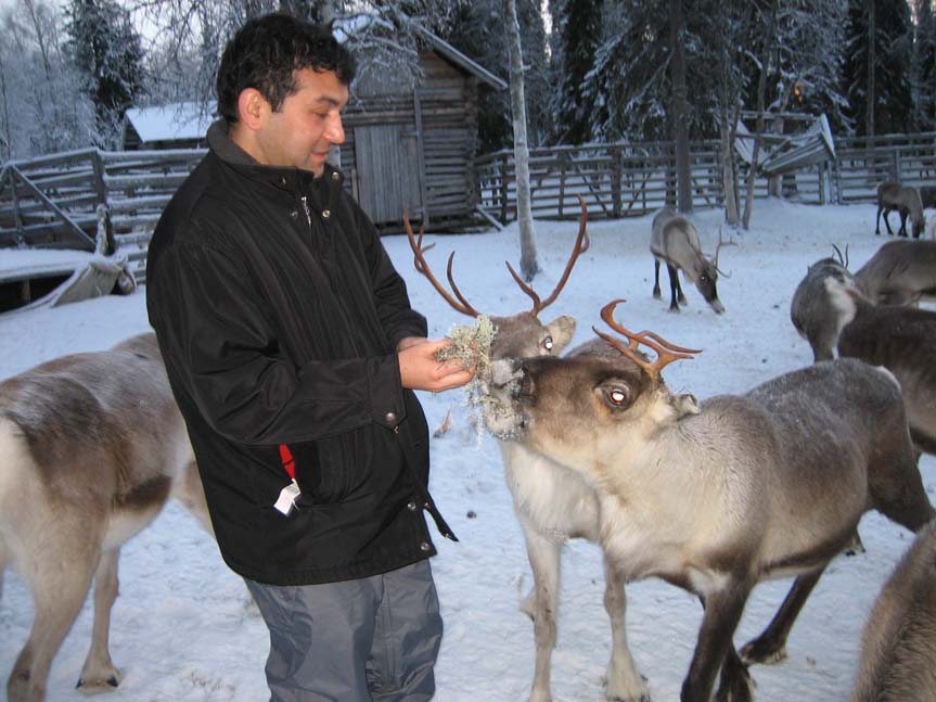 [feeding+reindeer.jpg]