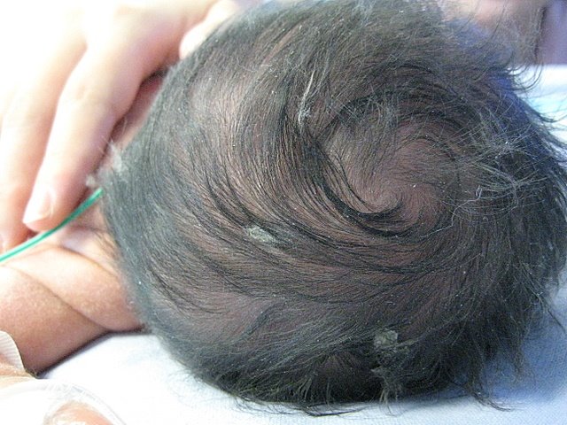 [newborn+hair.jpg]