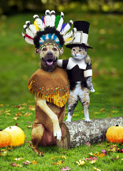 [dog+cat+thanksgiving.jpg]