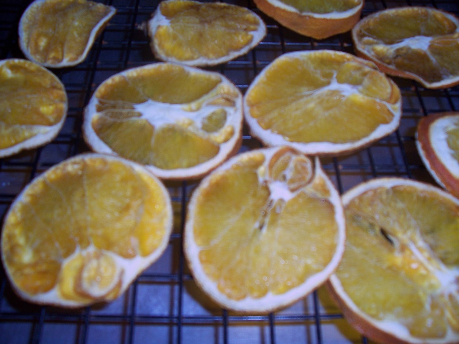 [Dried+Oranges+005.jpg]