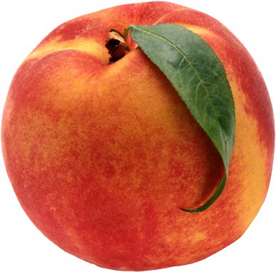 [peach.jpg]