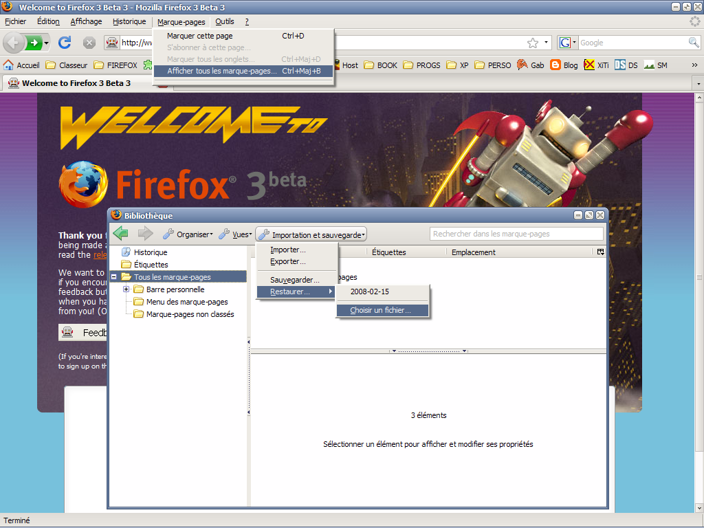 Firefox 3 beta 3 - Places 2