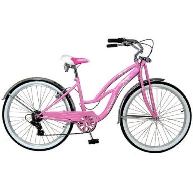 [bike+a+pink+Roxy.JPG]
