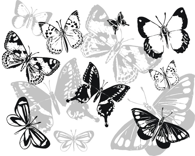 [butterflies.bmp]
