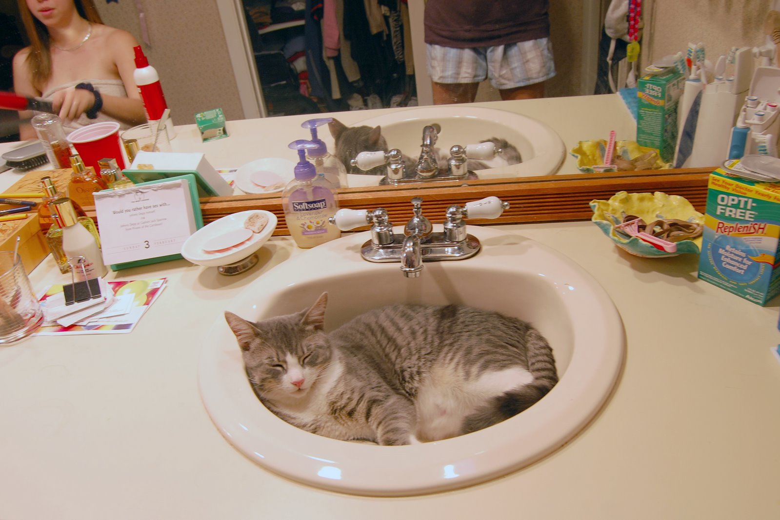 [Cat+in+sink2.jpg]