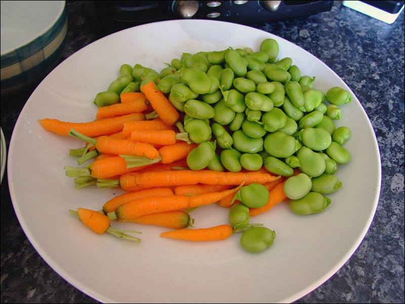 [broad-beans-carrots.jpg]